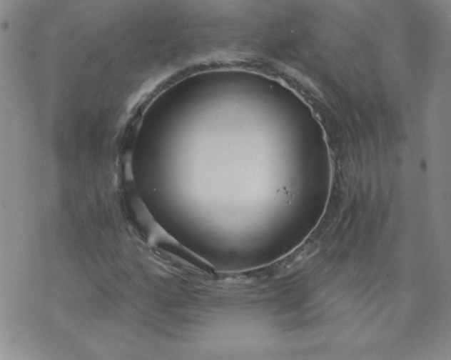 X0000071331160200607141858