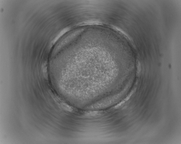 X0000071331162200607141858