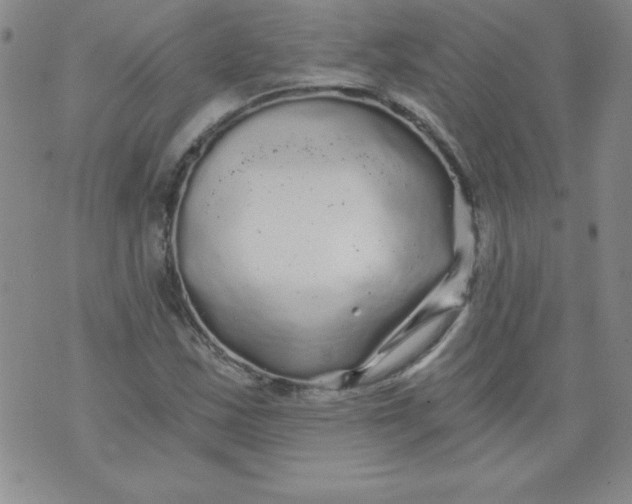 X0000071331163200607141858