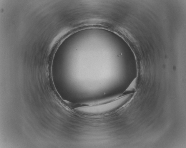 X0000071331164200607141858