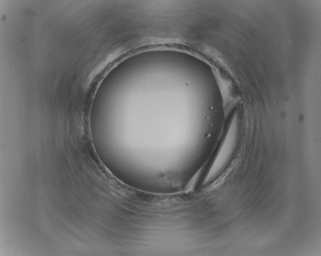 X0000071331165200607141858