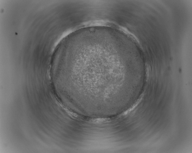 X0000071331166200607141858