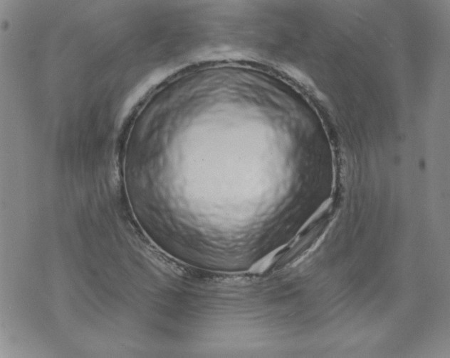 X0000071331167200607141858