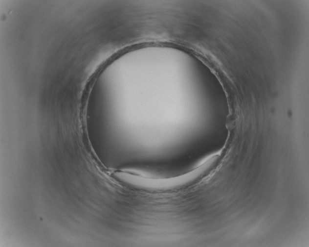 X0000071331168200607141858