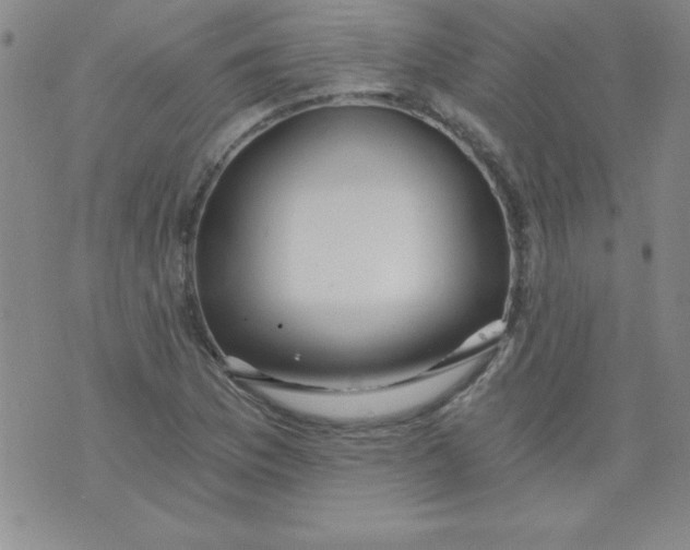 X0000071331169200607141858