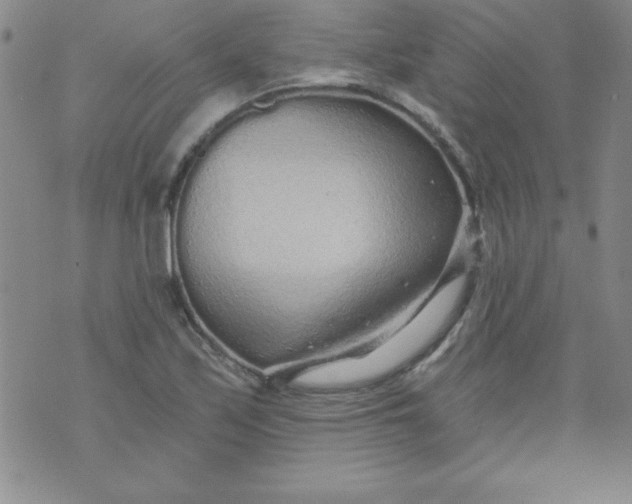 X0000071331171200607141858