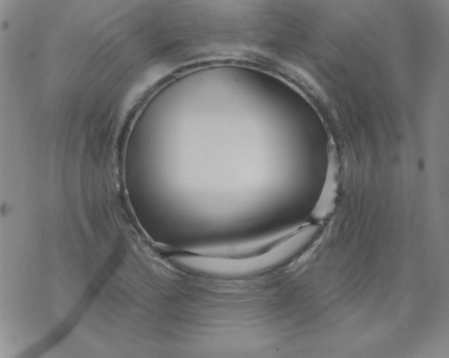 X0000071331172200607141858