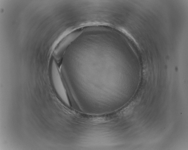 X0000071331173200607141858