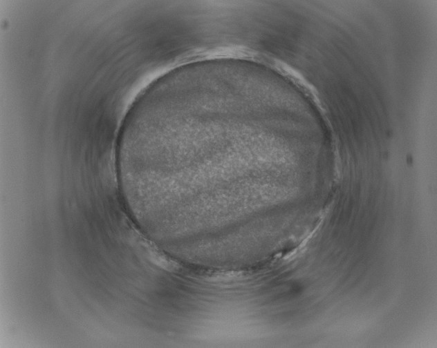 X0000071331174200607141858