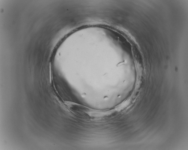 X0000071331175200607141858