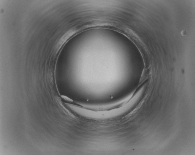 X0000071331177200607141858