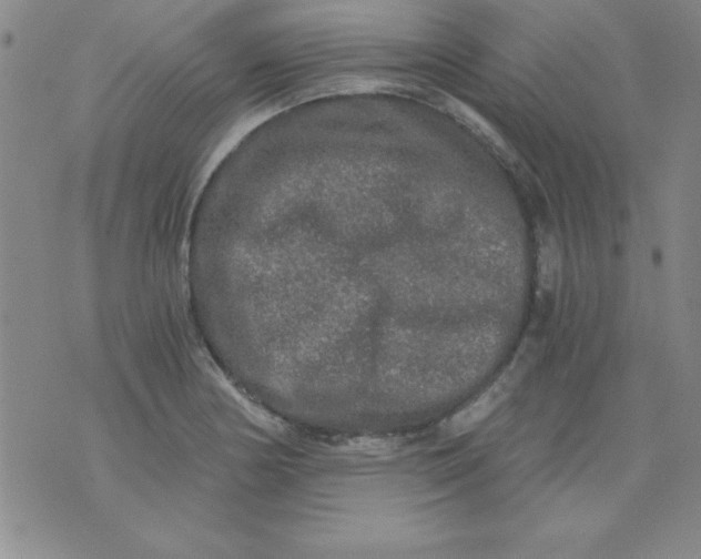 X0000071331178200607141858