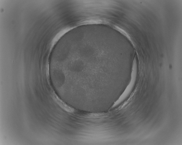 X0000071331179200607141858