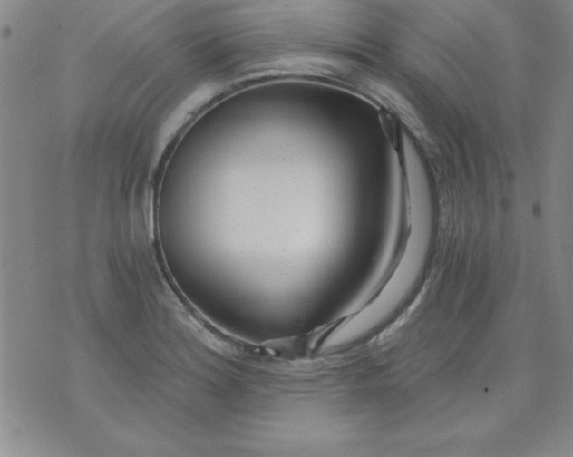 X0000071331180200607141858