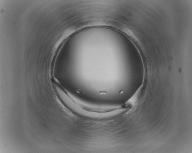 X0000071331181200607141858