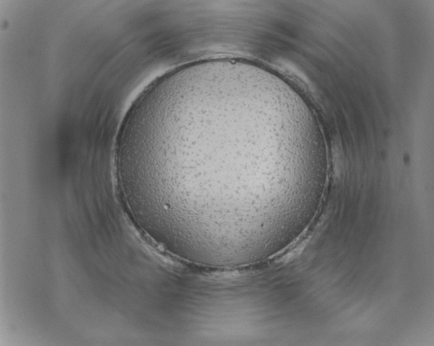 X0000071331182200607141858