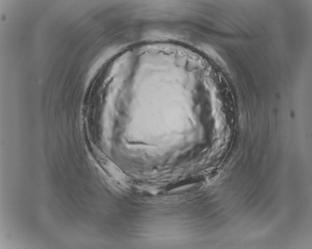 X0000071331183200607141858