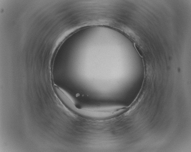 X0000071331184200607141858