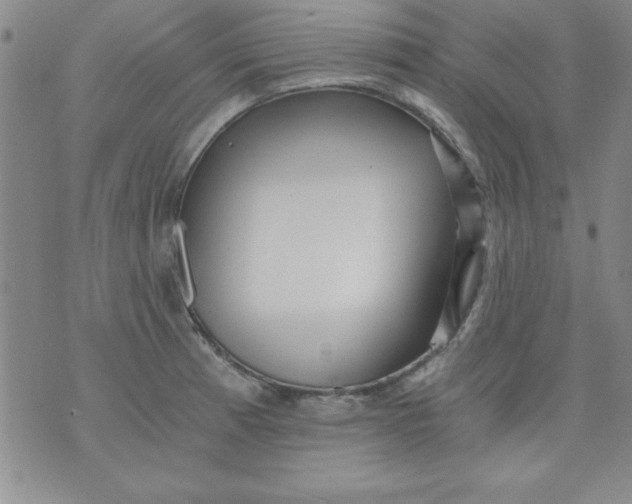 X0000071331185200607141858