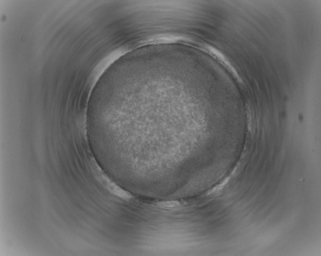 X0000071331186200607141858