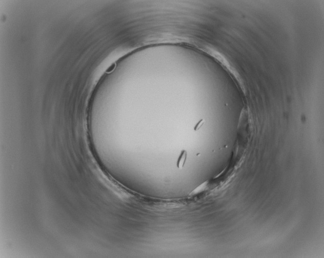 X0000071331187200607141858