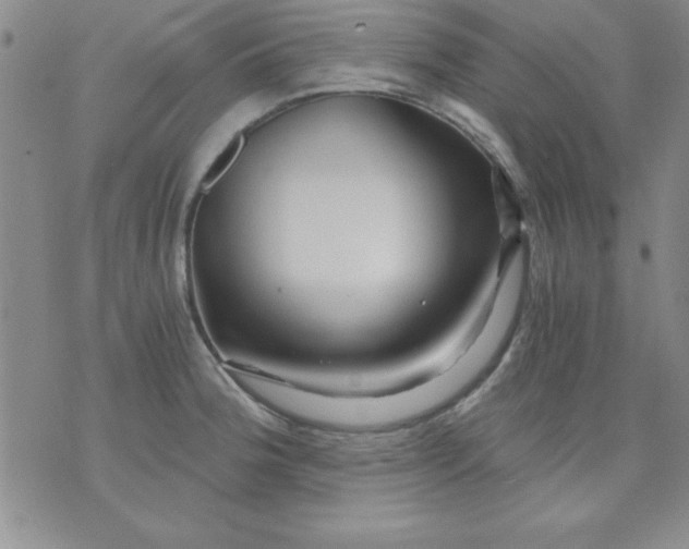 X0000071331188200607141858