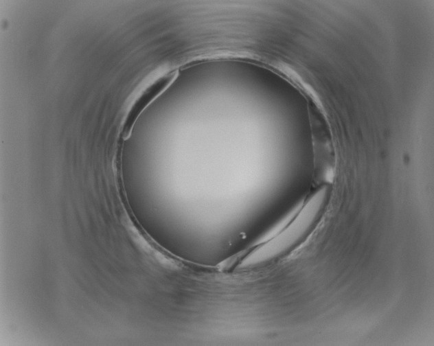 X0000071331189200607141858