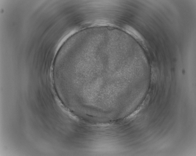 X0000071331190200607141858