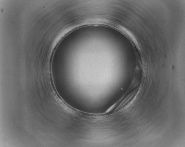 X0000071331192200607141858