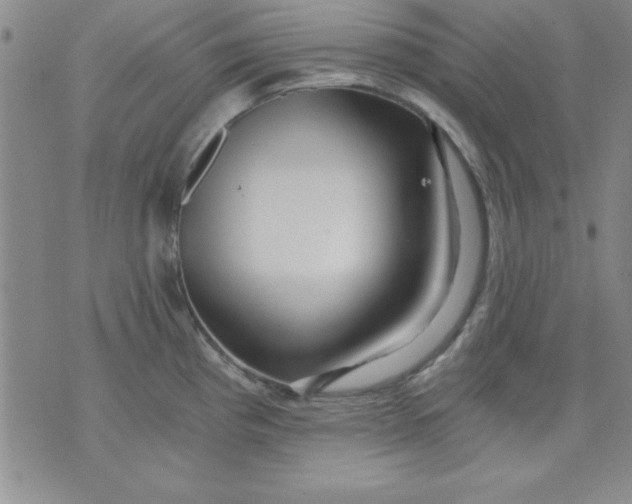 X0000071331193200607141858