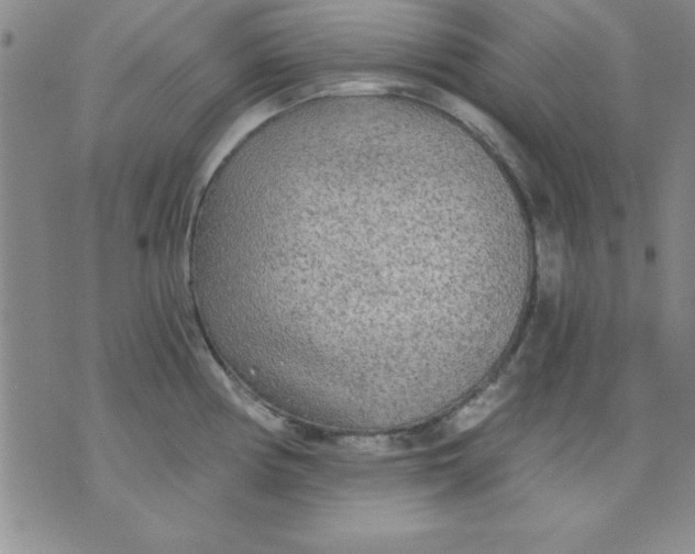 X0000071331194200607141858