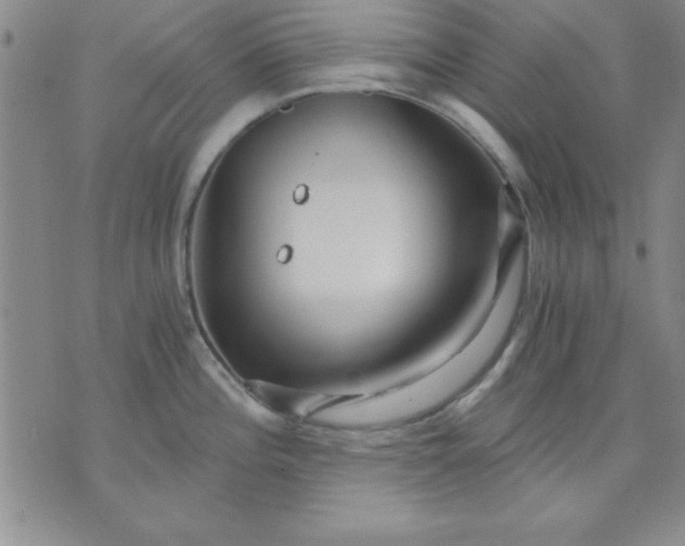 X0000071331196200607141858