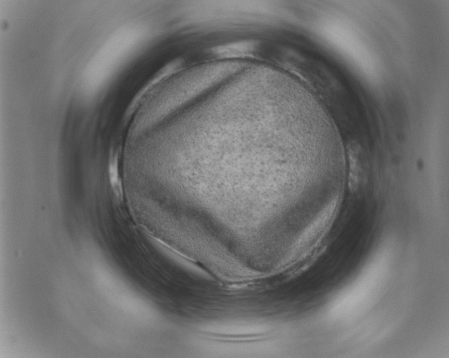 X0000071331198200607141858