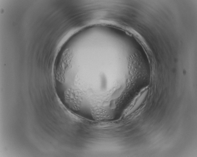 X0000071331199200607141858