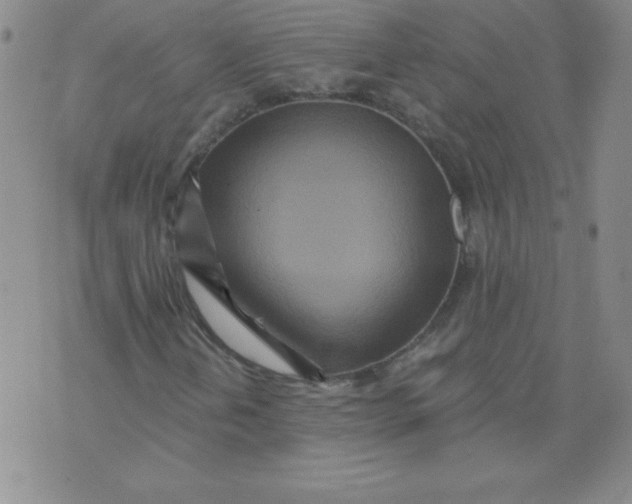 X0000071331202200607141857