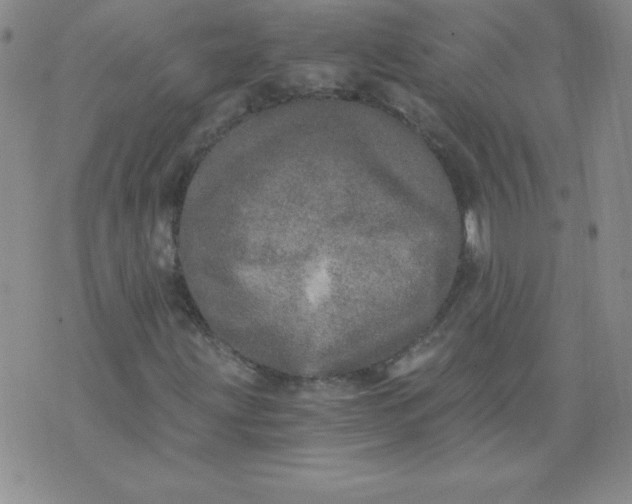 X0000071331203200607141857