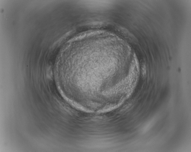 X0000071331204200607141857