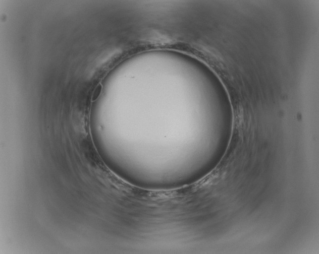 X0000071331205200607141857