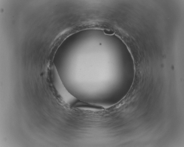 X0000071331206200607141857