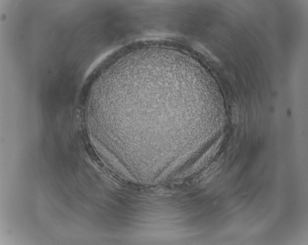 X0000071331208200607141857