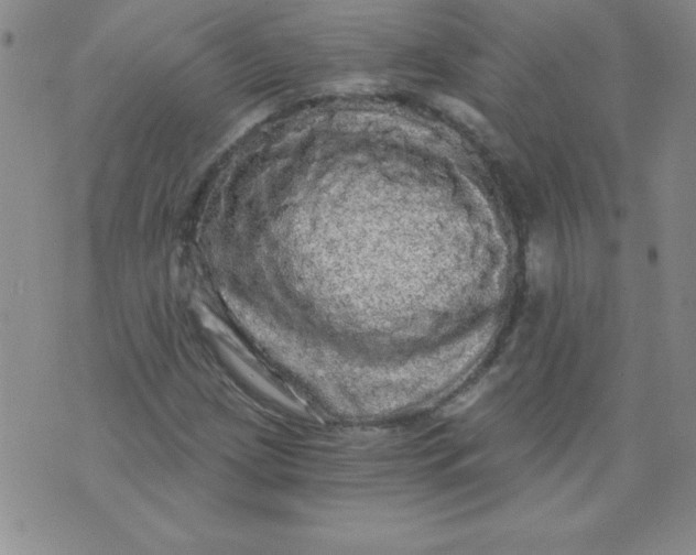 X0000071331209200607141857