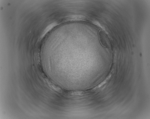 X0000071331211200607141857