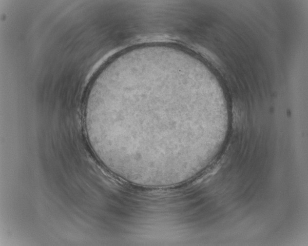 X0000071331212200607141857