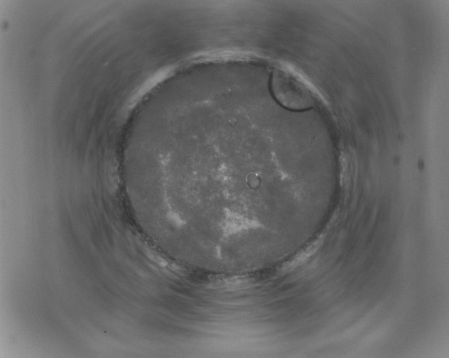 X0000071331213200607141857