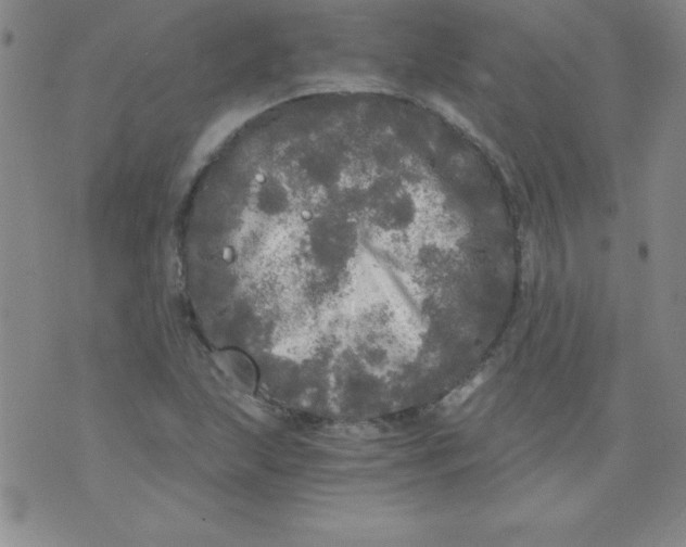 X0000071331215200607141857