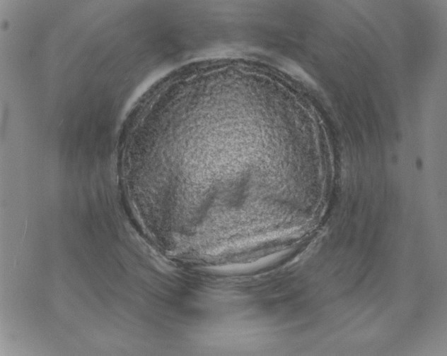 X0000071331216200607141857