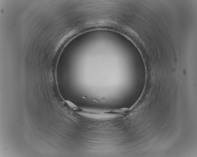 X0000071331218200607141857