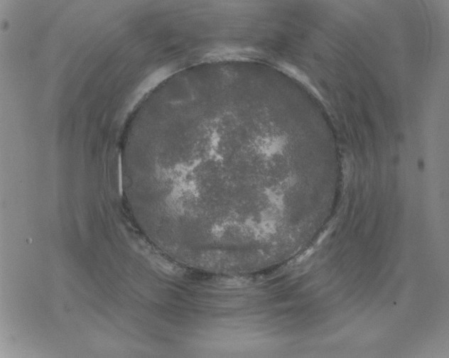 X0000071331219200607141857