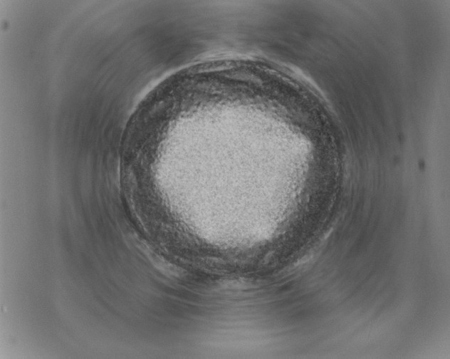 X0000071331220200607141857