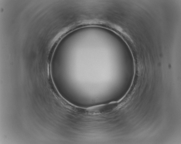 X0000071331221200607141857